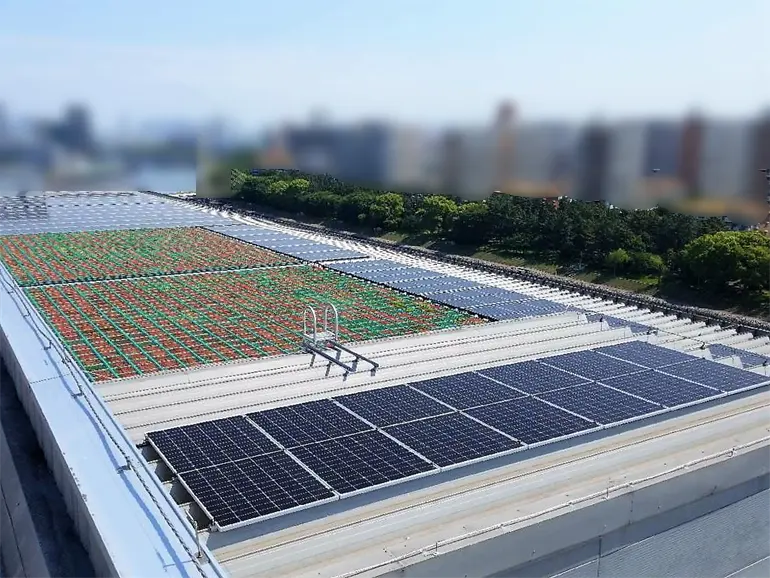 PPA導入事例_物流倉庫_太陽光発電_東京都港区