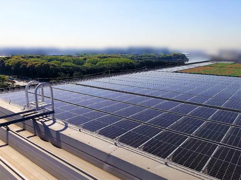PPA導入事例_物流倉庫_太陽光発電_東京都港区